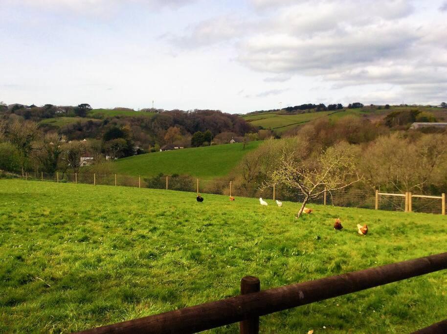 Bosvean Cottage Bude Bagian luar foto